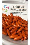 Hurma Çekirdeği Ahşap Boncuk  