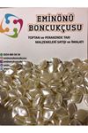 Şekilli İnci Boncuğu   